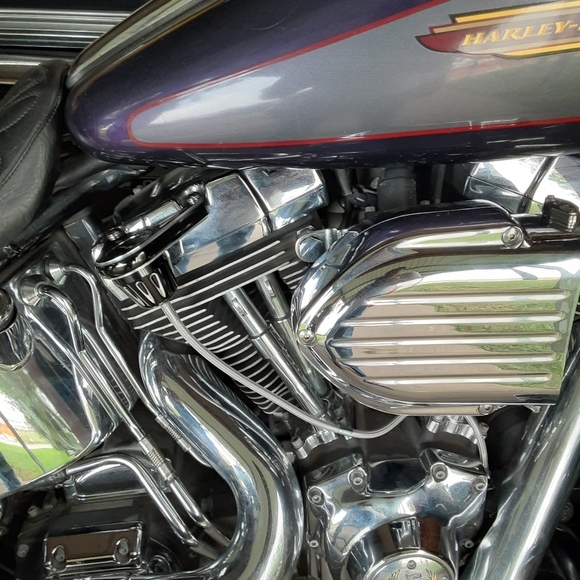 Meet your Posher, Felix - Picture 2 of 3